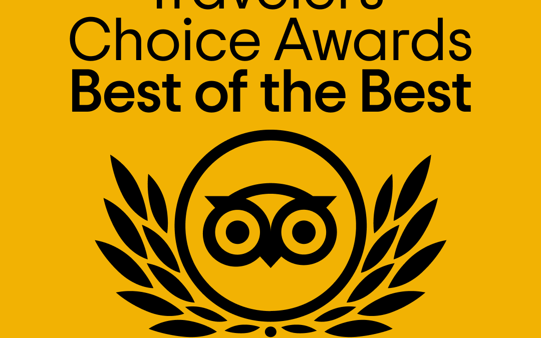 Traveller’s Choice 2024 Best of the best